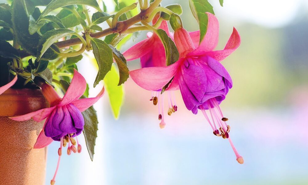 spring porch decorating ideas in westchase