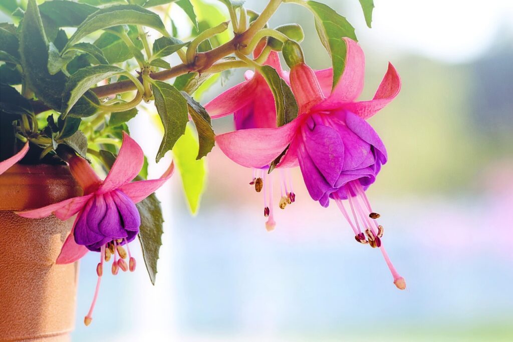Spring Porch Decorating Ideas to Refresh Your Space in 77042