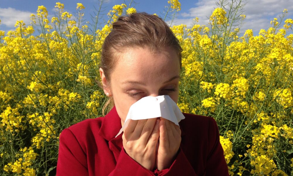 west Houston allergies causes sneezing